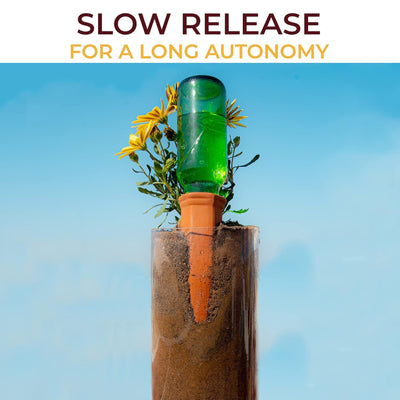 Terracotta Watering Spikes