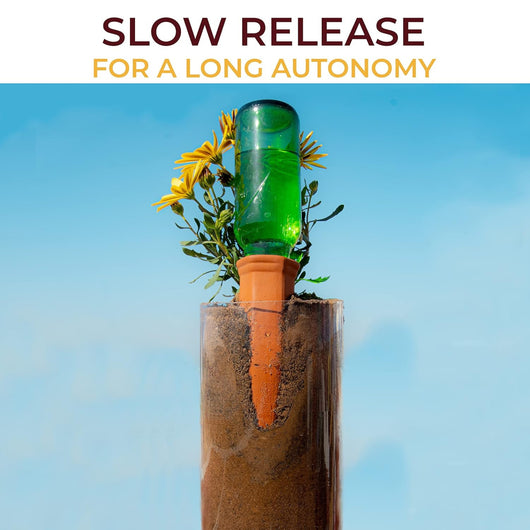 Terracotta Watering Spikes