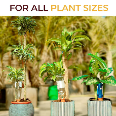 Terracotta Watering Spikes