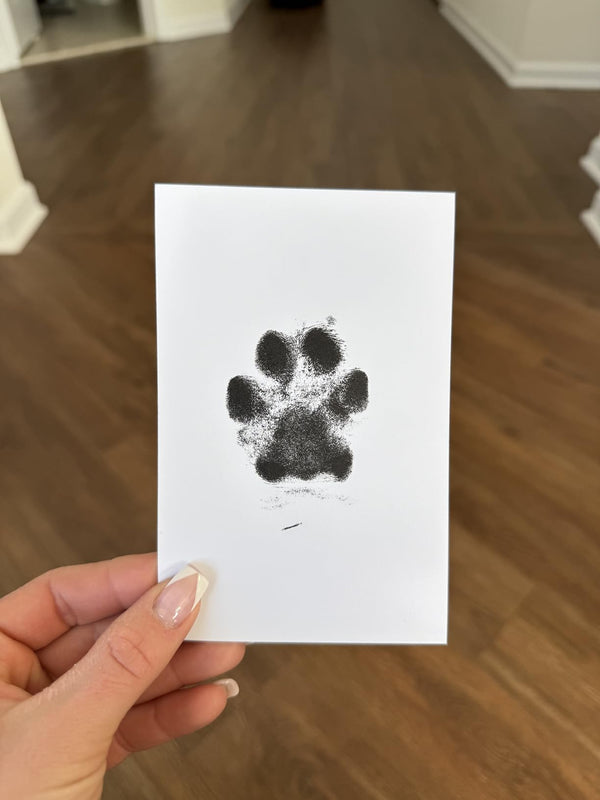 Paws