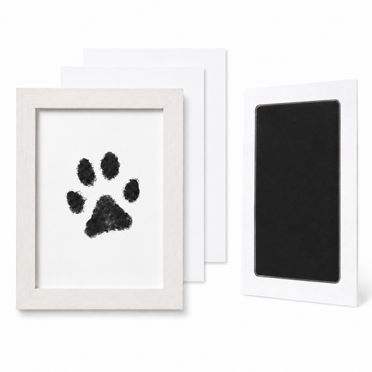 Corus® Inkless Paw Print Kit