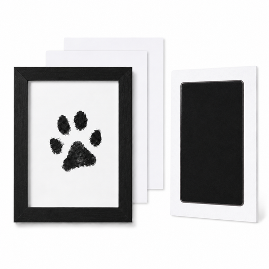 Corus® Inkless Paw Print Kit