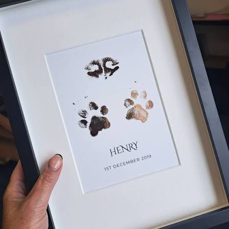 Pet Gifts